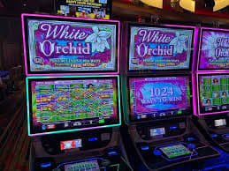 line slot featured game showcase